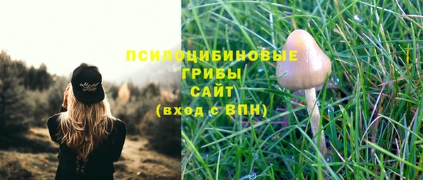 тгк Алексин