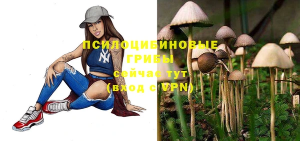 тгк Алексин