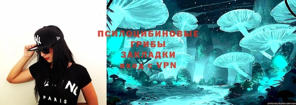 тгк Алексин