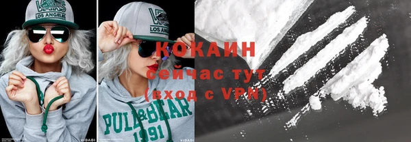 тгк Алексин