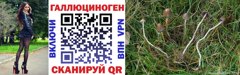 blacksprut ТОР  Арамиль  Галлюциногенные грибы прущие грибы 
